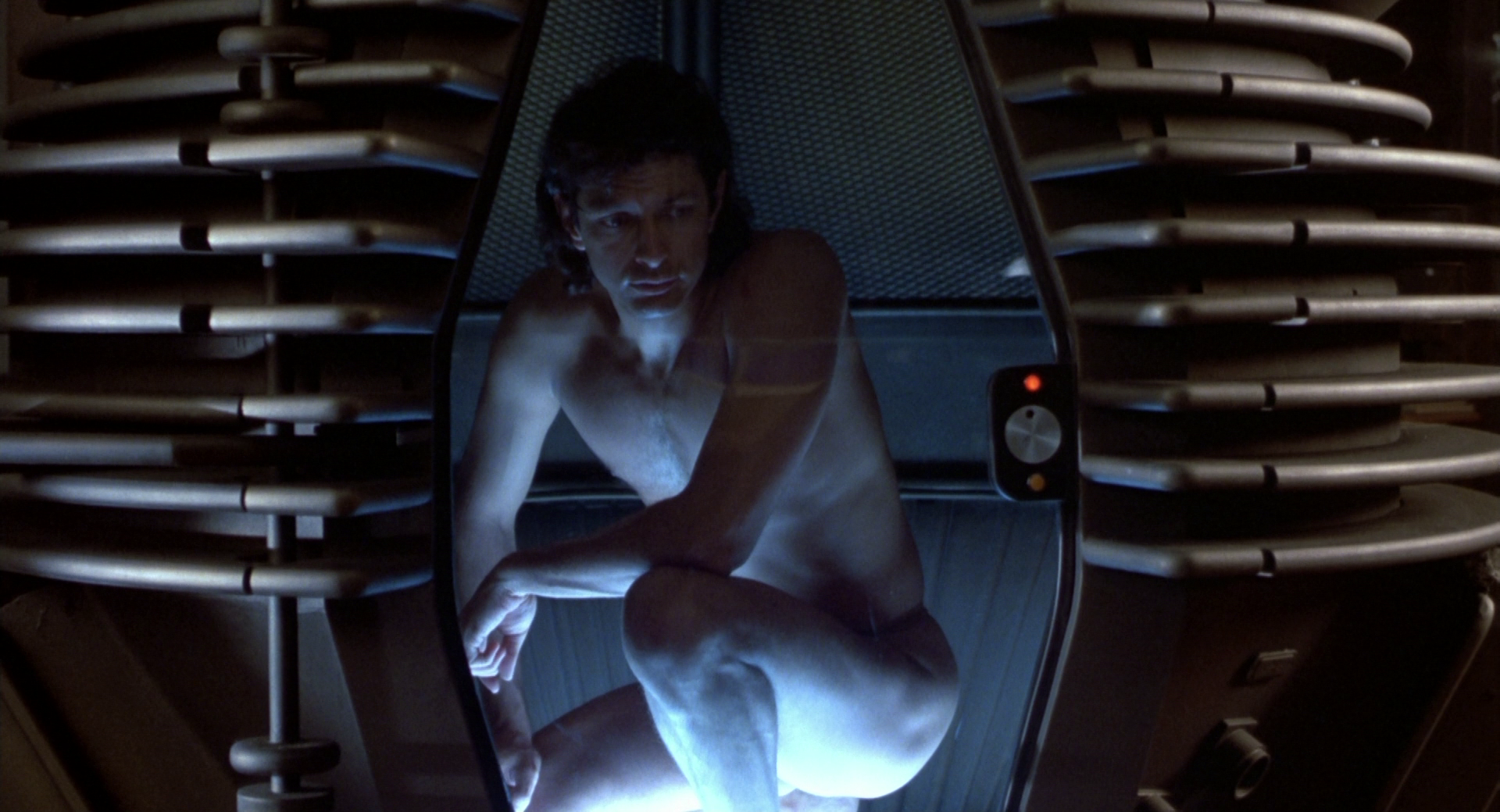 The Fly