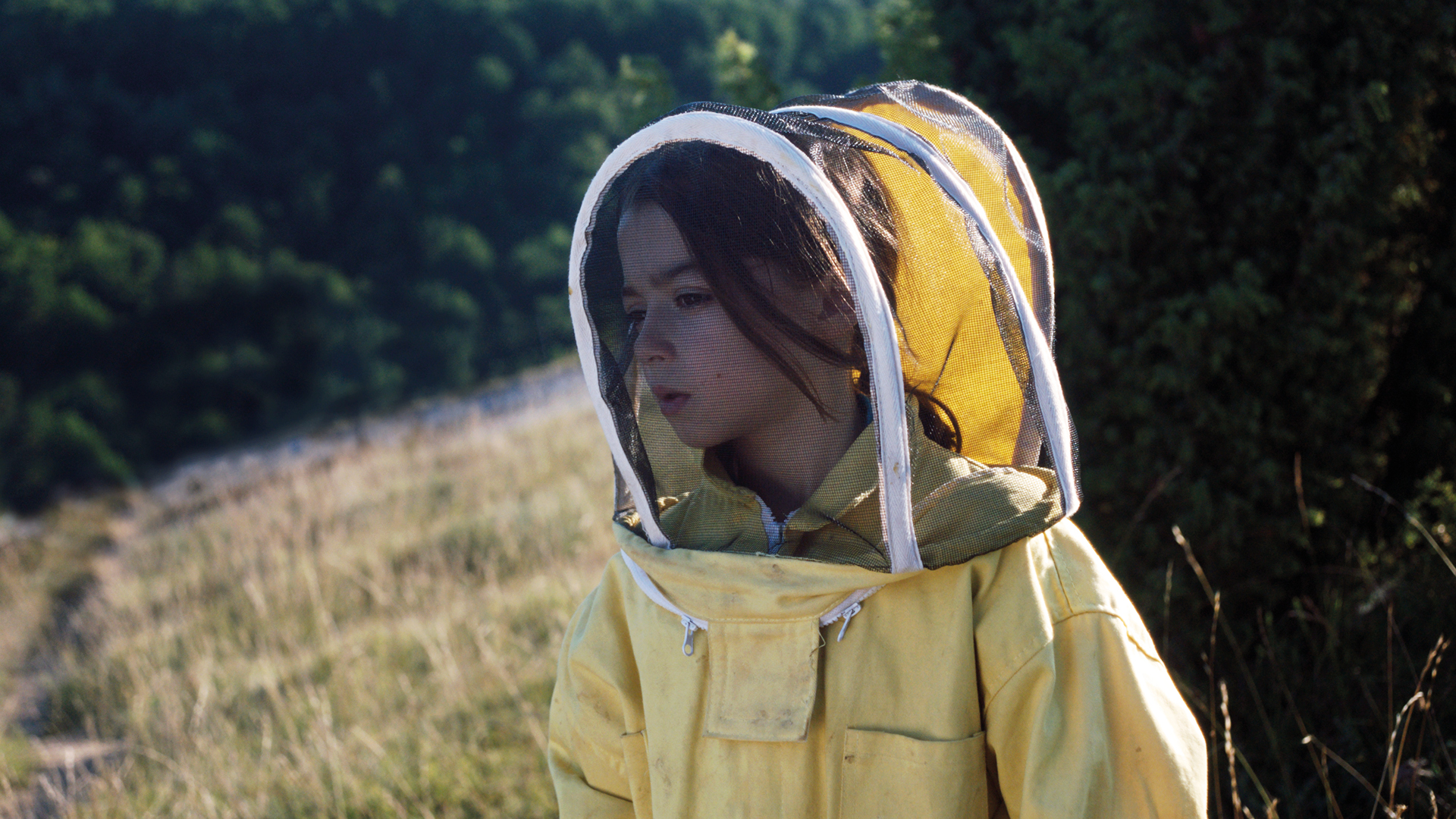 20’000 especies de abejas