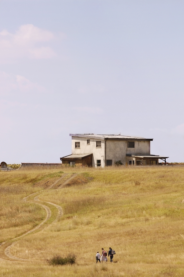 Bild zum Film «Home»