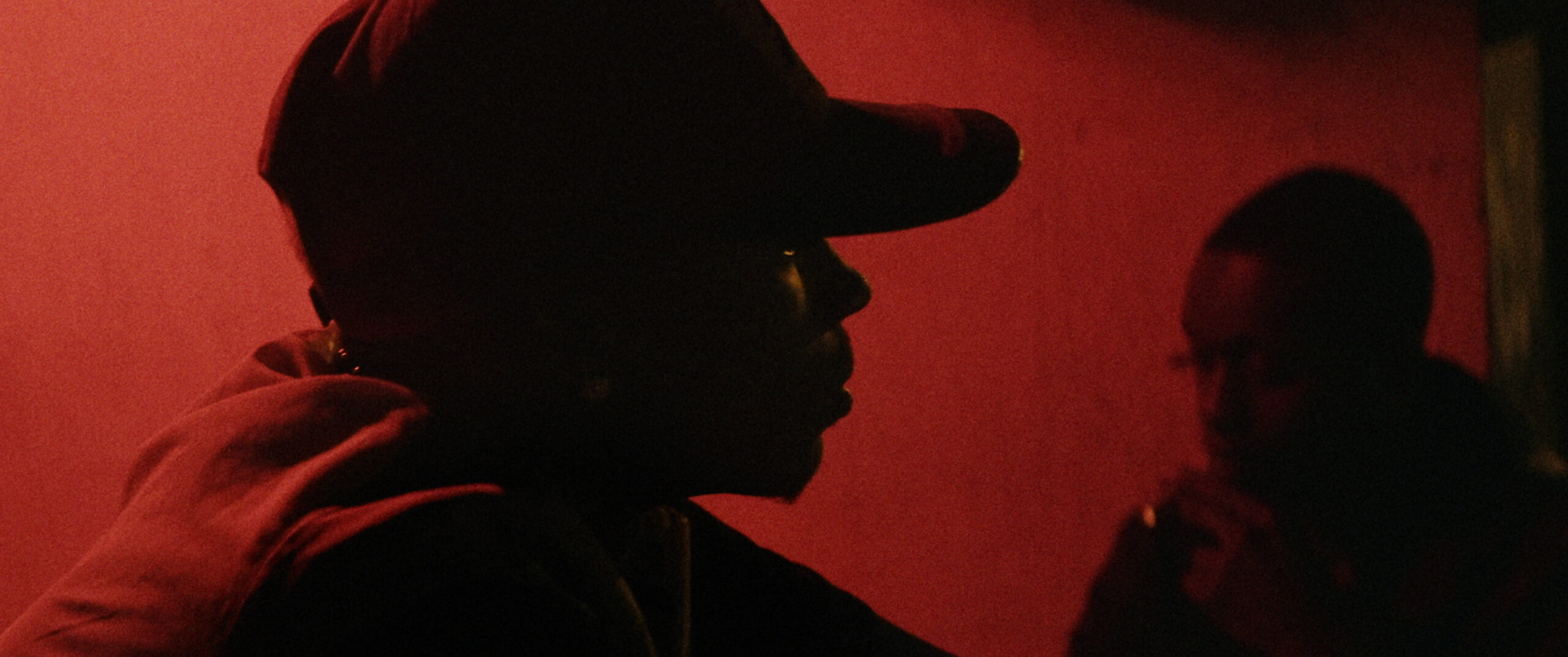 Bild zum Film «O Fim do Mundo»