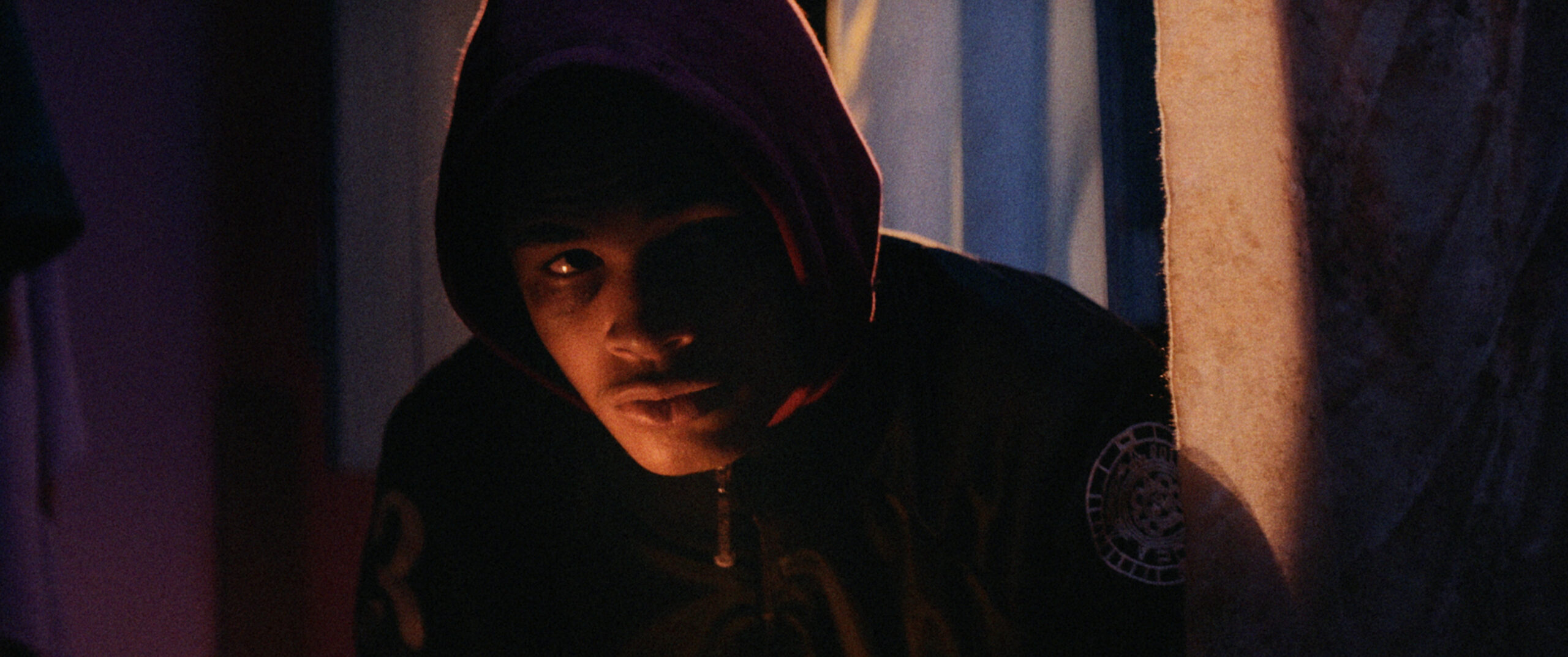 Bild zum Film «O Fim do Mundo»
