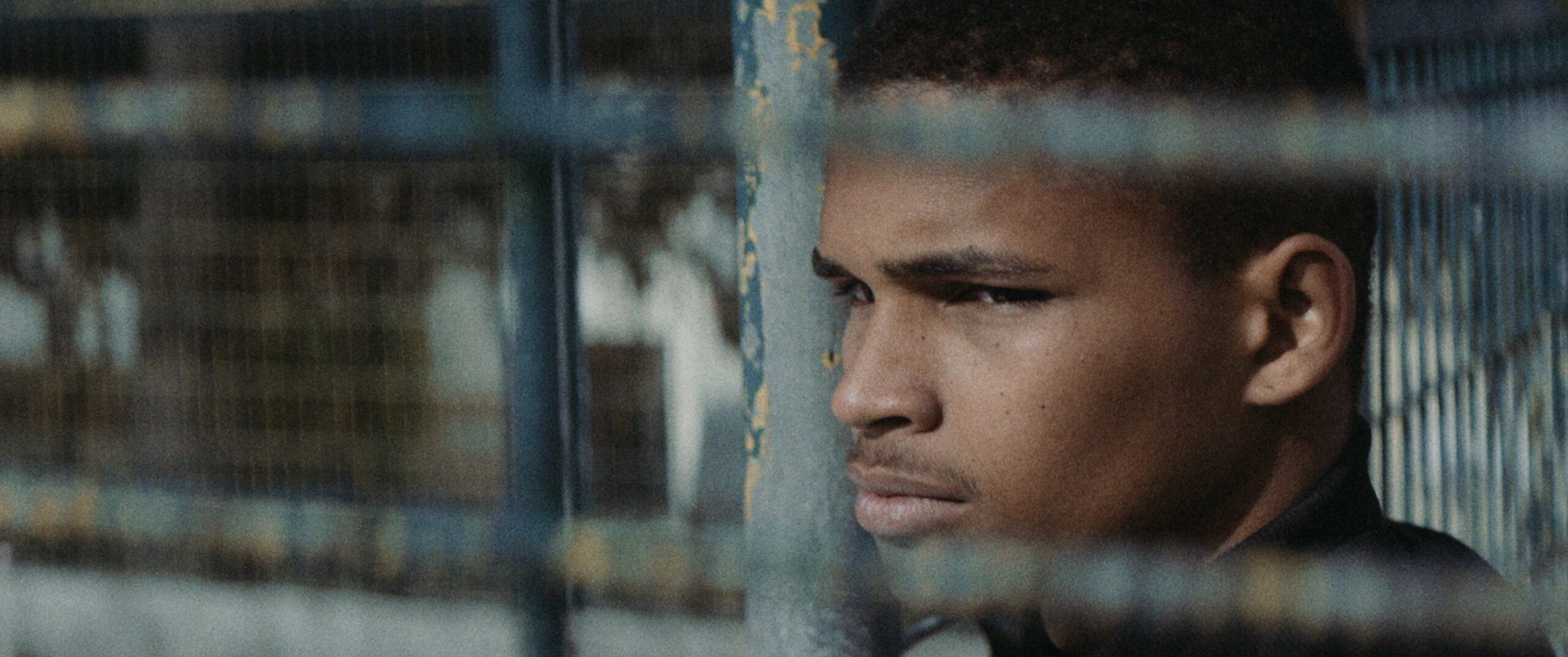 Bild zum Film «O Fim do Mundo»