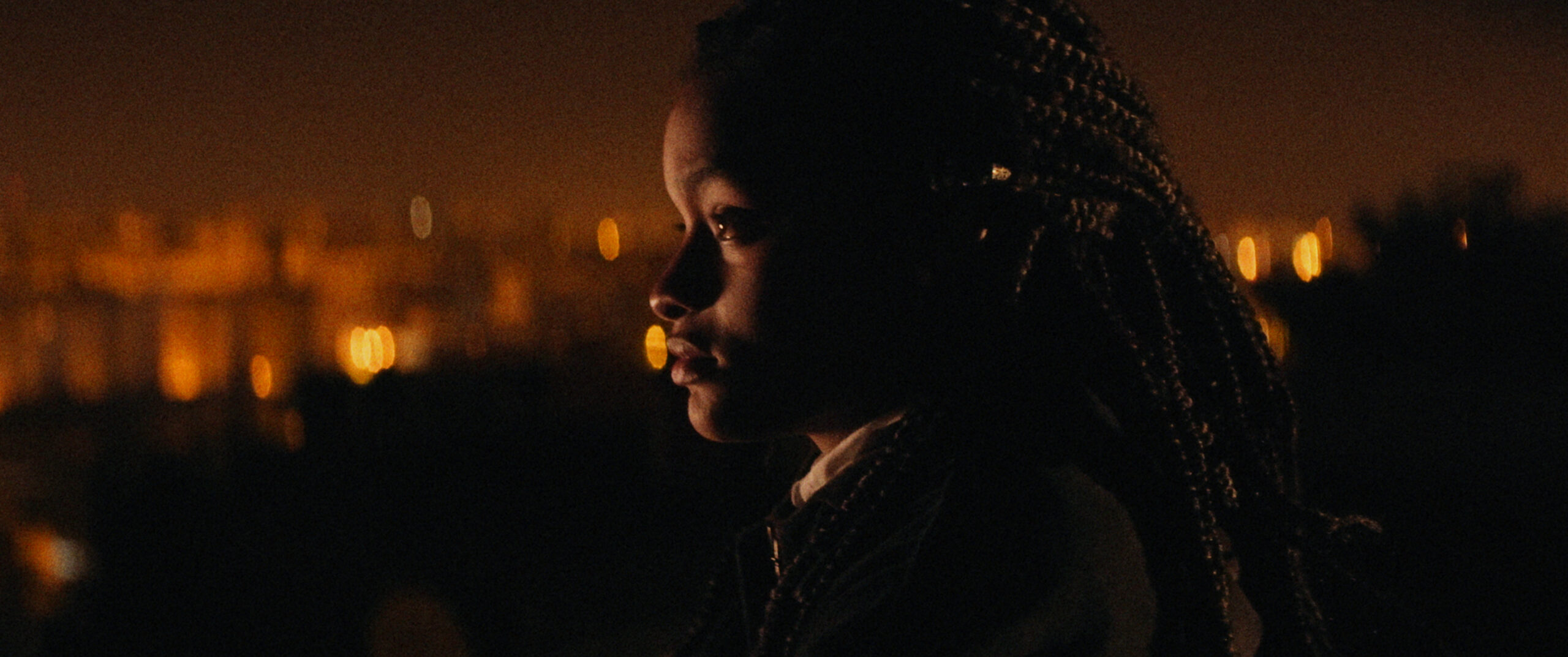 Bild zum Film «O Fim do Mundo»