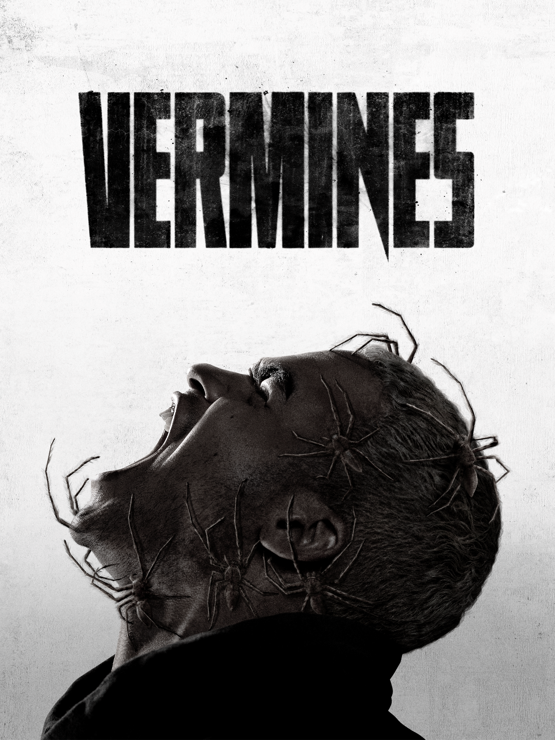 Bild zum Film «Vermines»